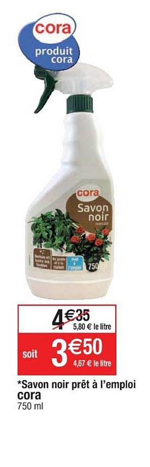 savon noir prêt à l'emploi cora
