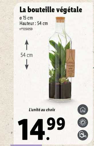 La Bouteille Végétale