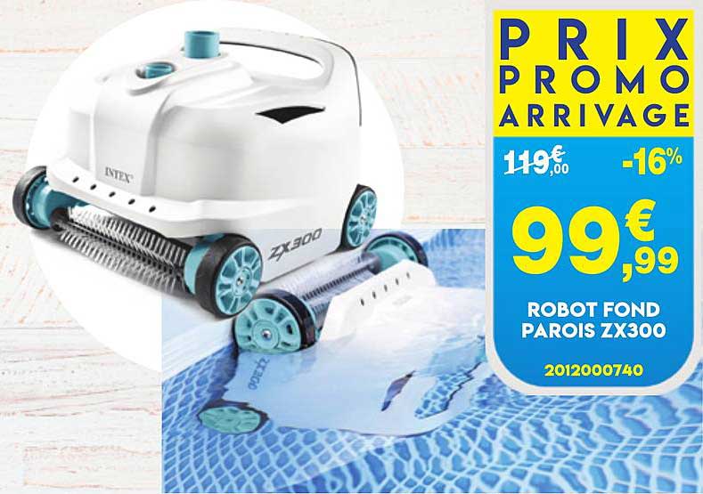 Robot Fond Parois Zx300