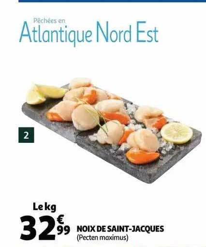 noix de saint-jacques