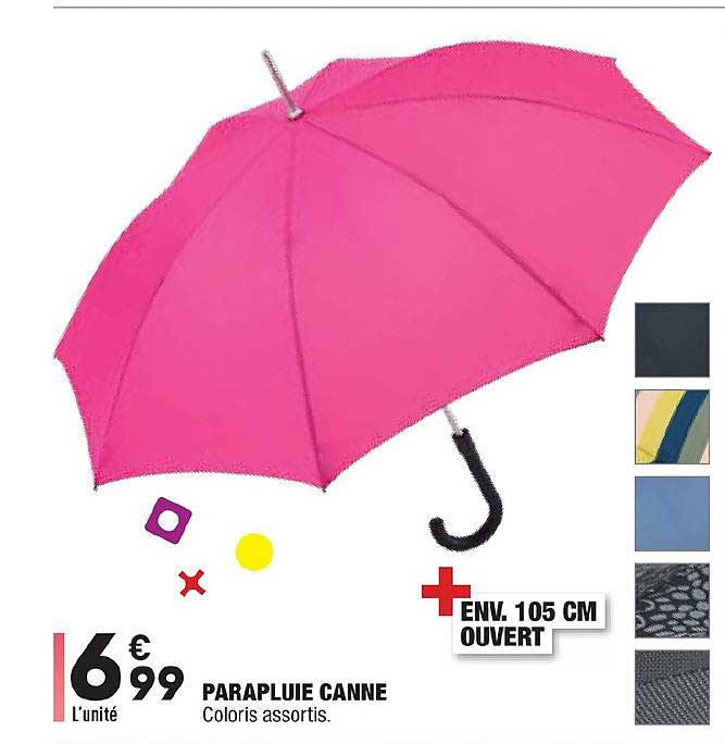 Parapluie Canne