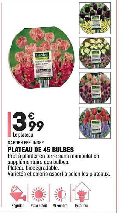 plateau de 45 bulbes garden feelings