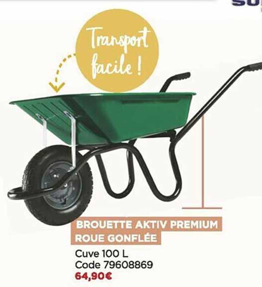 brouette aktiv premium roue gonflée