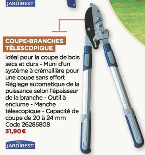 coupe-branches télescopique jardibest