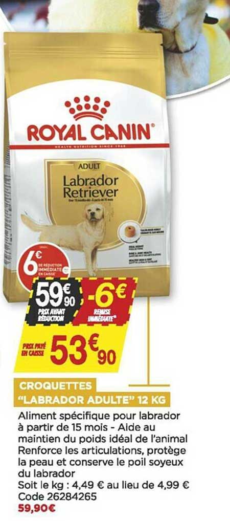 croquettes "labrador adulte" 12 kg royal canin