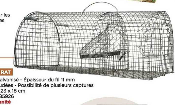 nasse à rat lucifer