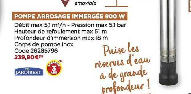 pompe arrosage immergée 900 w jardibest