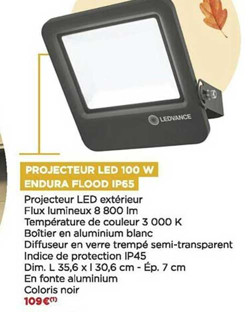 projecteur led 100 w endura flood ip65