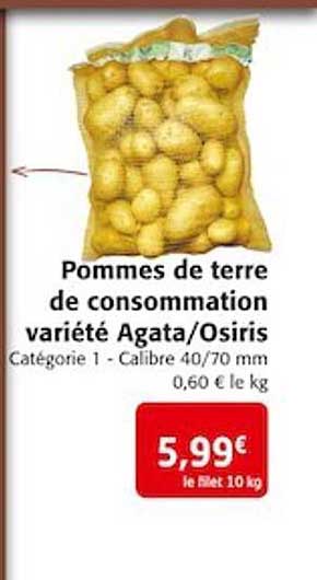 pommes de terre de consommation variété agata/osiris