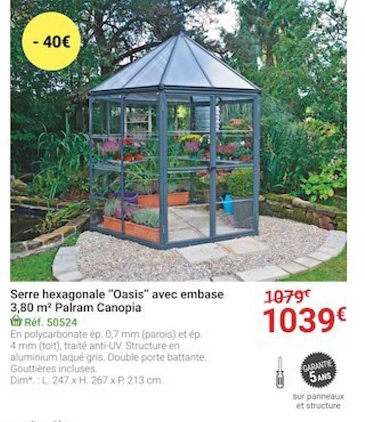 serre hexagonale "oasis" avec embase 3,80 m² palram canopia