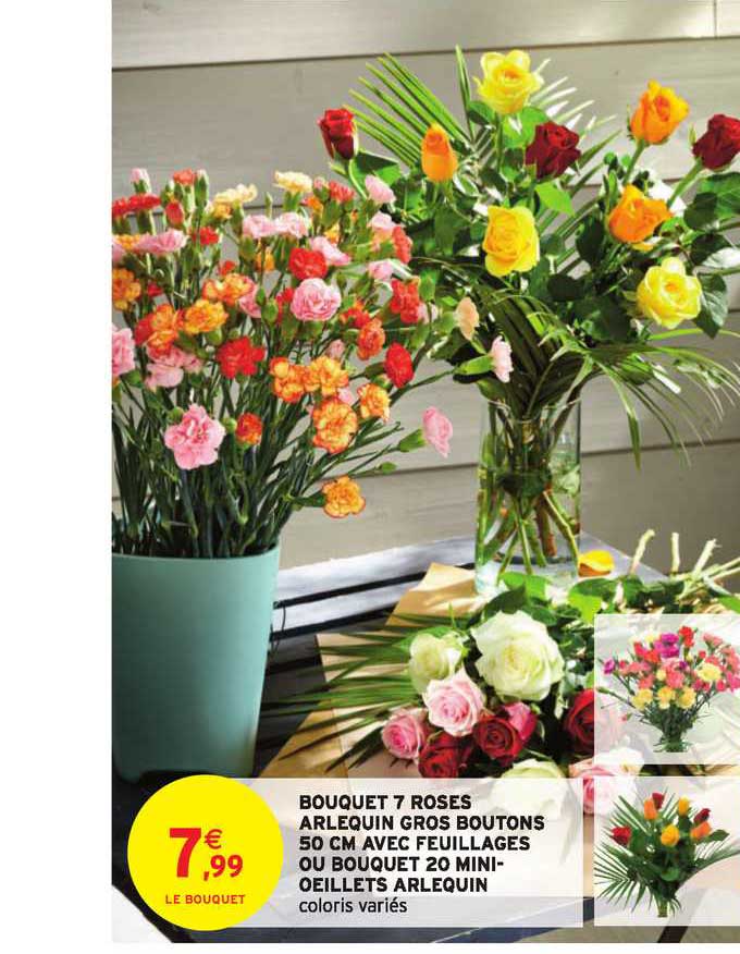 bouquet 7 roses arlequin gros boutons 50 cm avec feuillages ou bouquet 20 mini oeillets arlequins