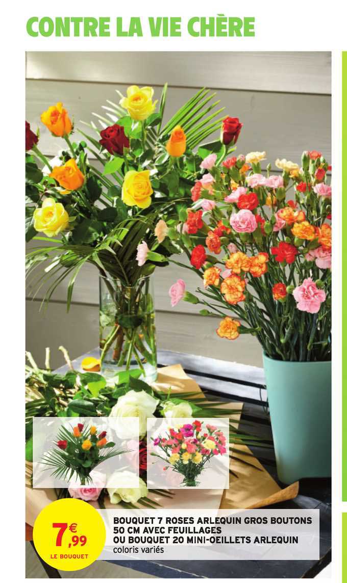 bouquet 7 roses arlequins gros boutons 50 cm avec feuillages ou bouquet 20 mini oeillets arlequin