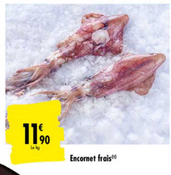 Encornet Frais