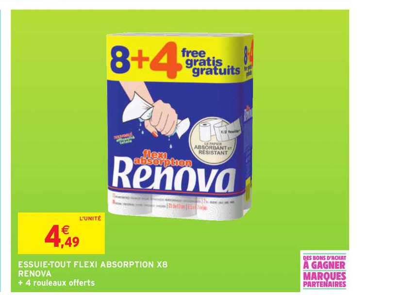 essuie tout flexi absoprtion x8 renova