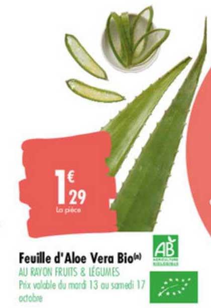 feuille d'aloe vera bio