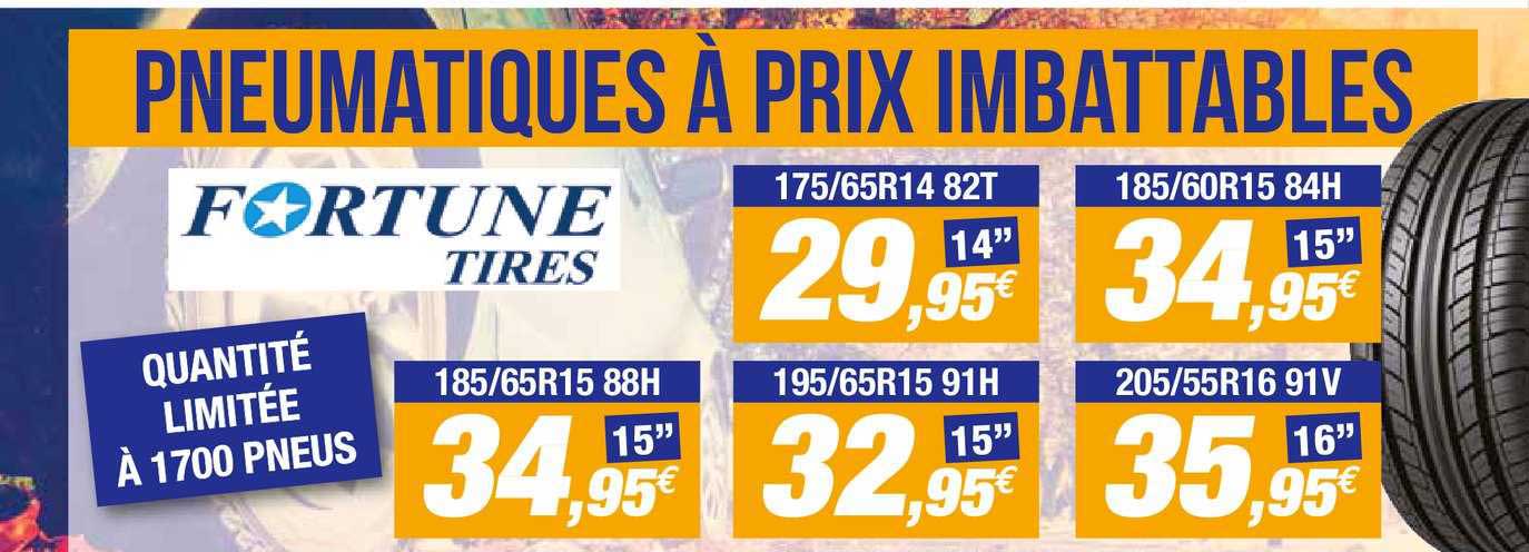pneumatiques fortune tires