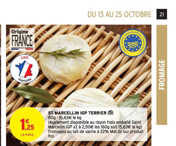 st marcelin igp terrier