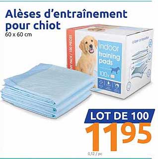 alèses d'entraînement pour chiot