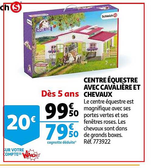 Centre équestre Avec Cavalière Et Chevaux