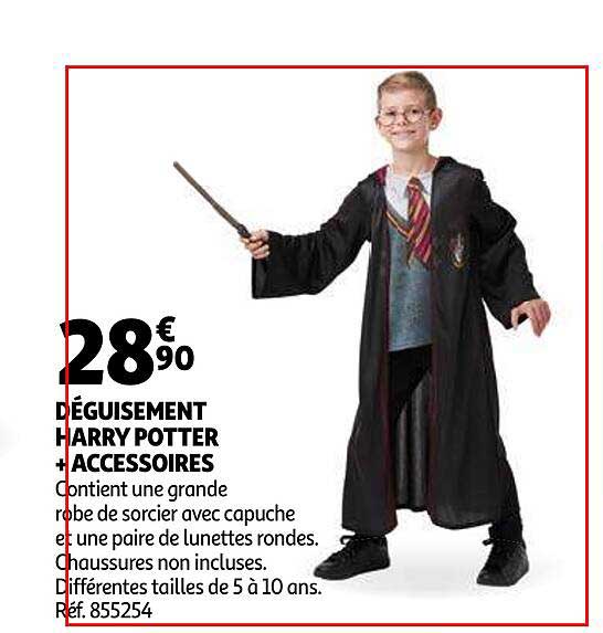 déguisement harry potter + accessoires