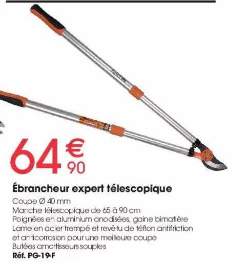 ébrancheur expert télescopique