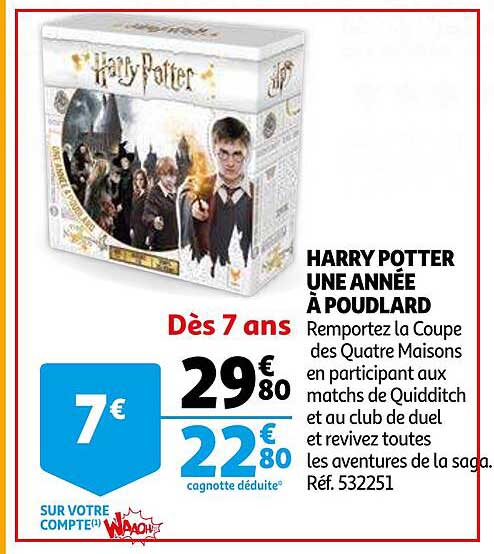 harry potter une année à poudlard