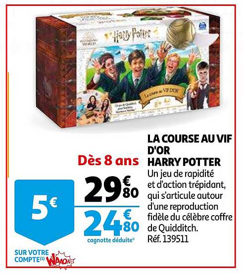 La Course Au Vif D'or Harry Potter