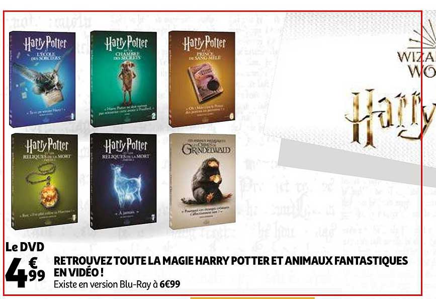 la magie harry potter et animaux fantastiques en vidéo!