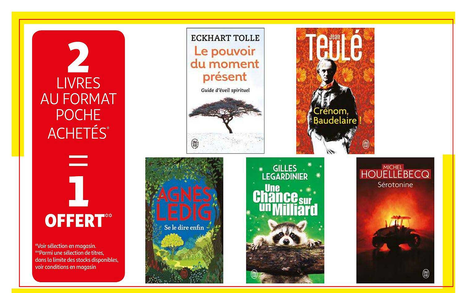 livres au format poche