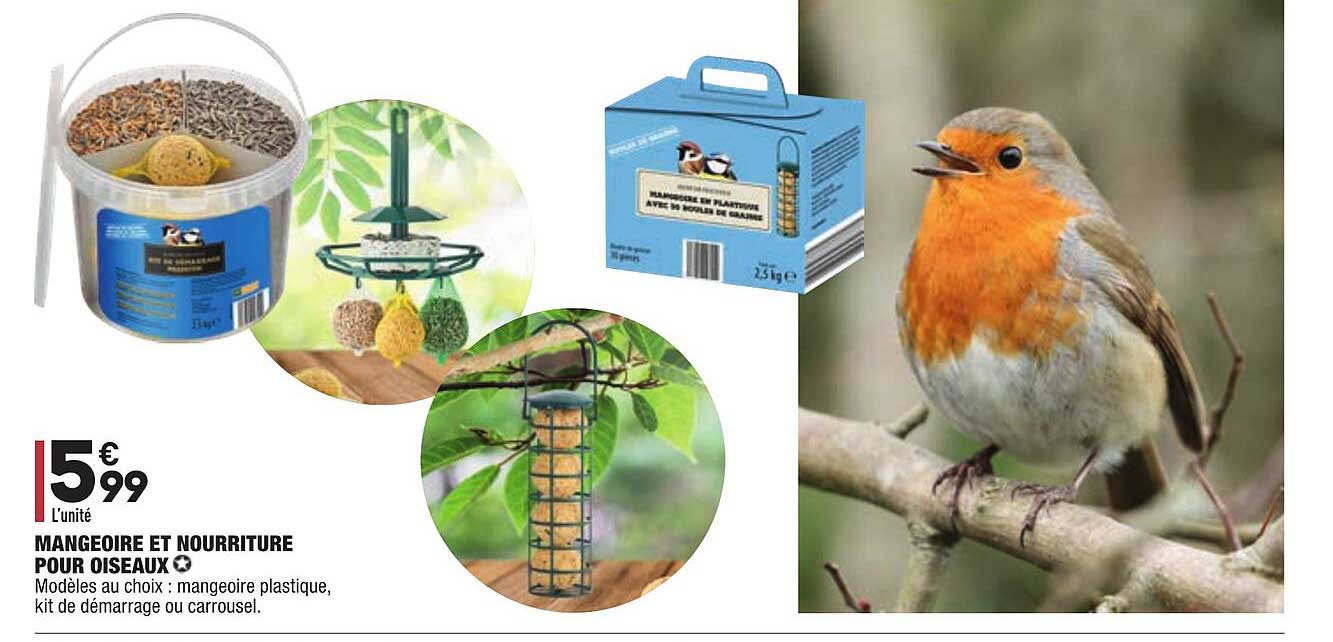 mangeoire et nourriture pour oiseaux