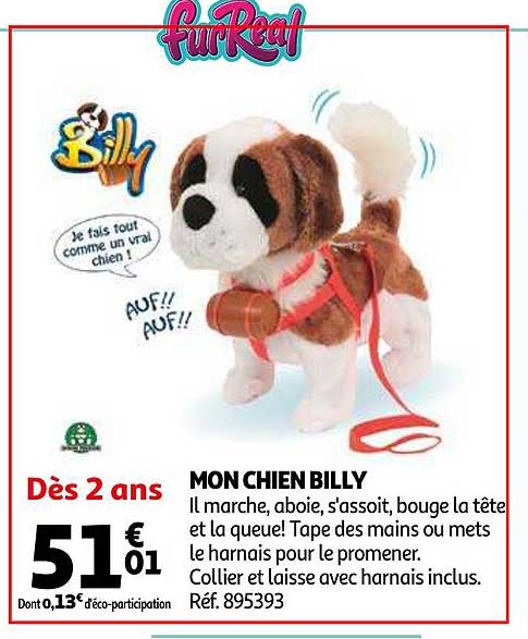 mon chien billy