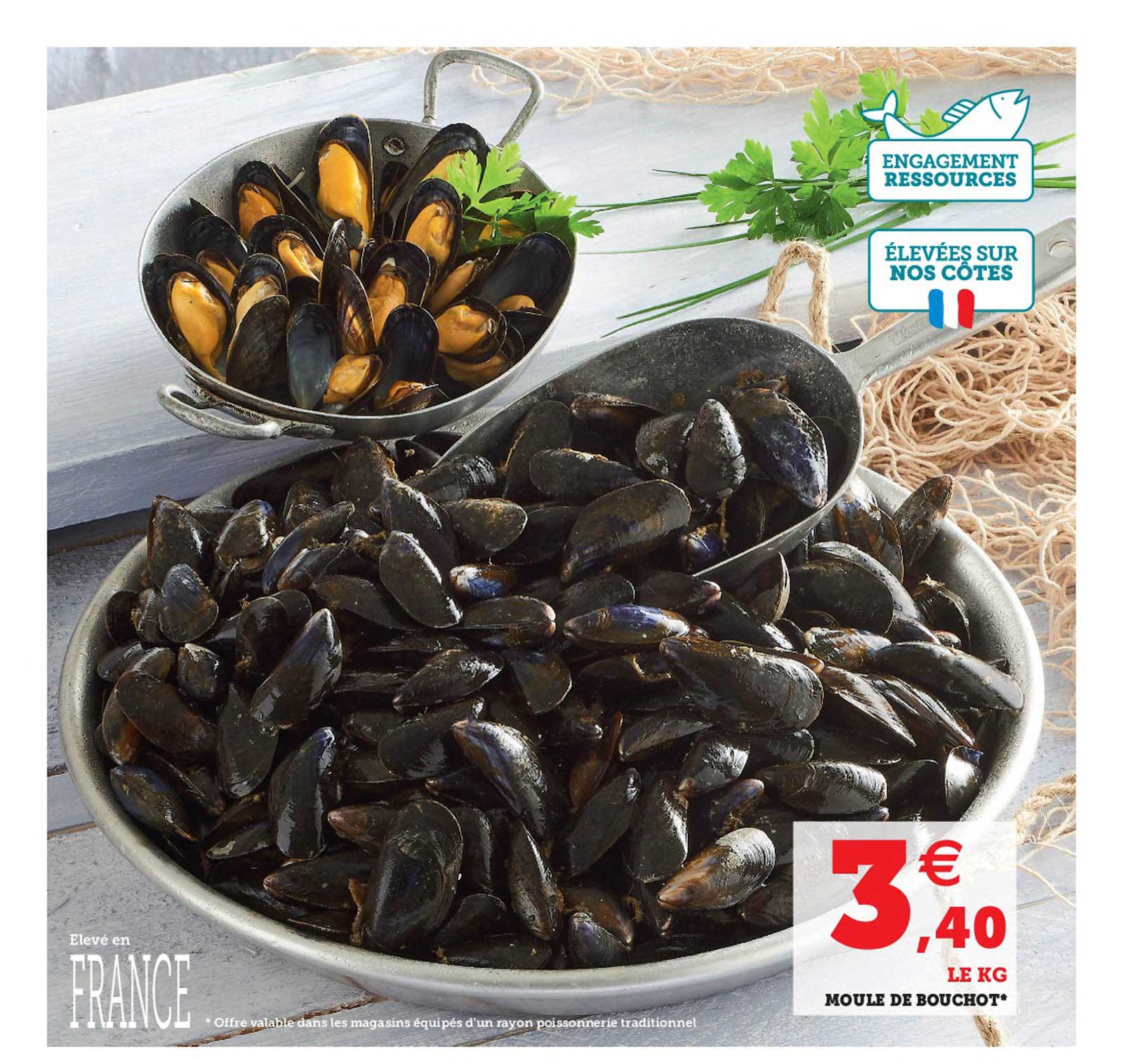 Moule De Bouchot