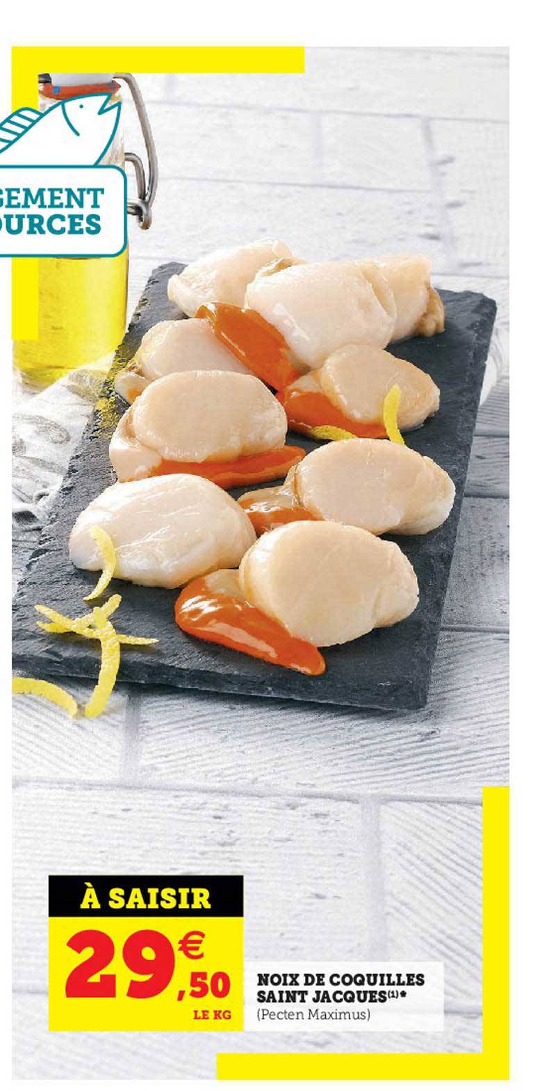 noix de coquilles saint jacques