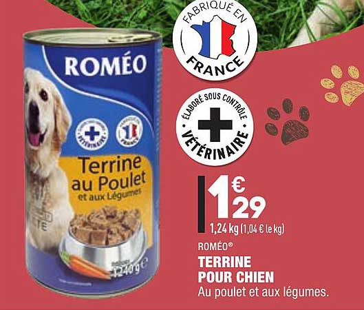 roméo terrine pour chien