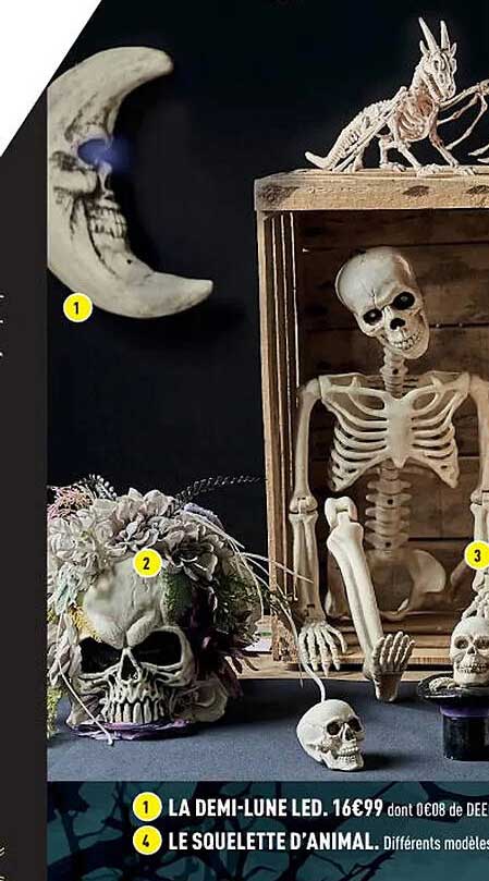 la demi-lune, le squelette d'animal