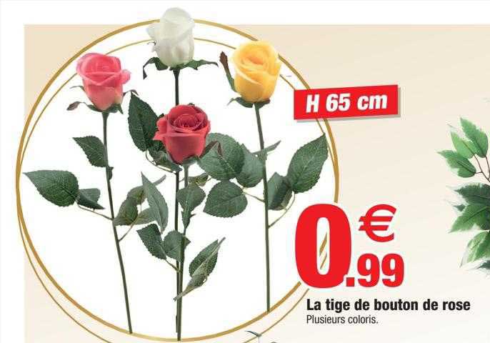 la tige de bouton de rose