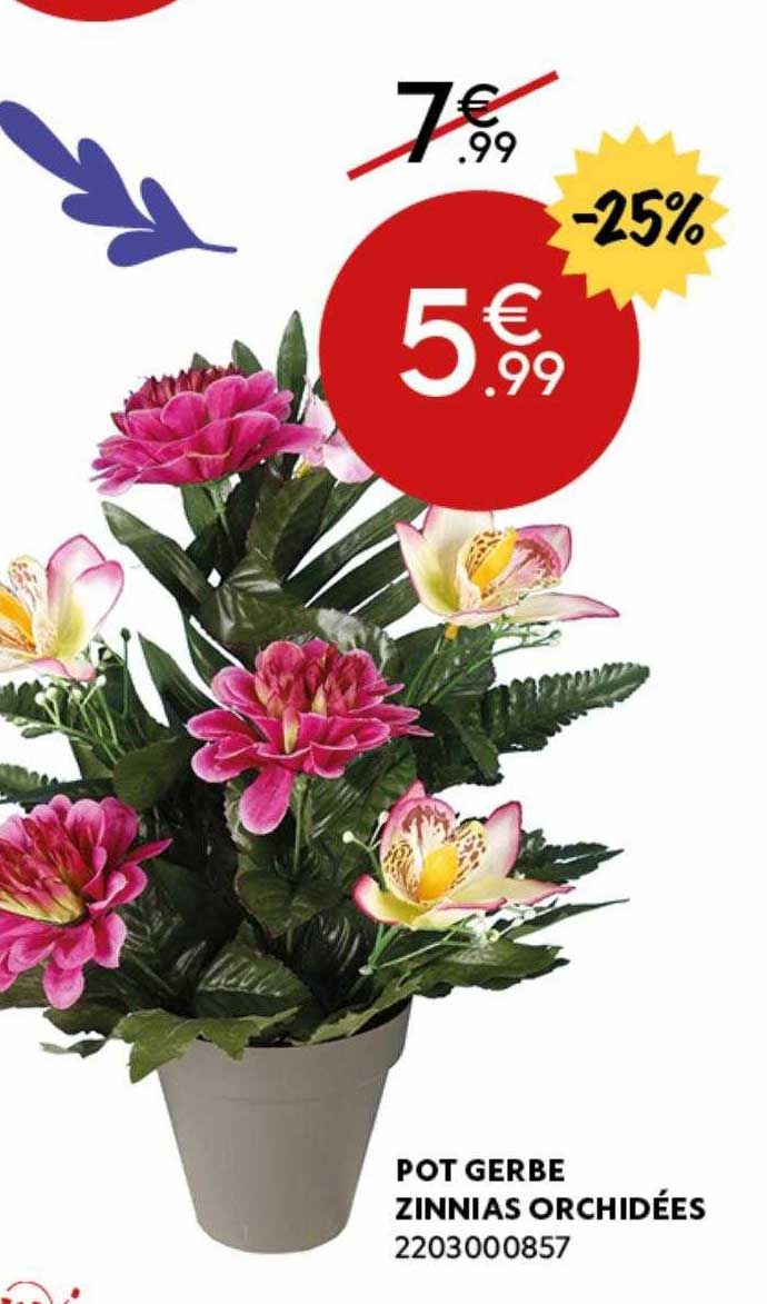 pot gerbe zinnias orchidées