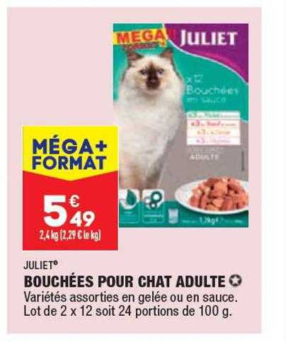 Bouchées Pour Chat Adulte Juliet