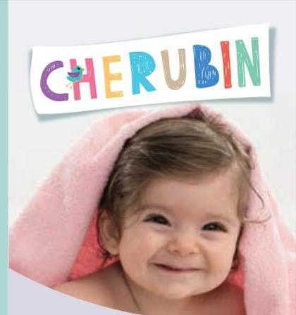 Cherubin