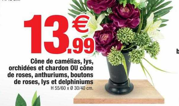 Cône De Camélias, Lys, Orchidées Et Chardon Ou Cône De Roses, Anthyriums, Boutons De Roses, Lys Et Delphiniums
