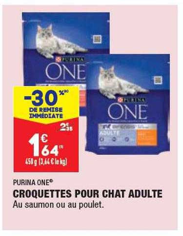 Croquettes Pour Chat Adulte Purina One
