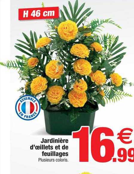 jardinière d'œillets et de feuillages