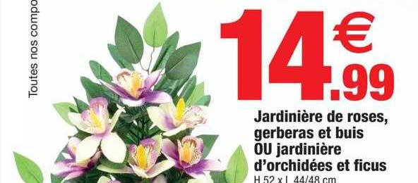 jardinière de roses, gerberas et buis ou jardinière d'orchidées et ficus