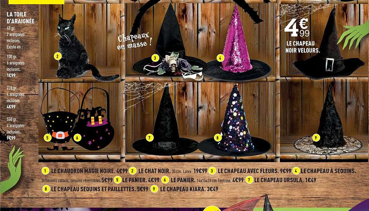 la toile d'araignée, le chapeau noir velours, le chaudron magie noire, le chat noir, le chapeau avec fleurs, le chapeau à sequins, le panier, le chapeau ursula, le chapeau sequins et paillettes