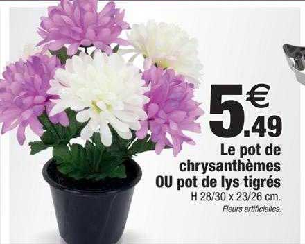le pot de chrysanthèmes ou pot de lys tigrés