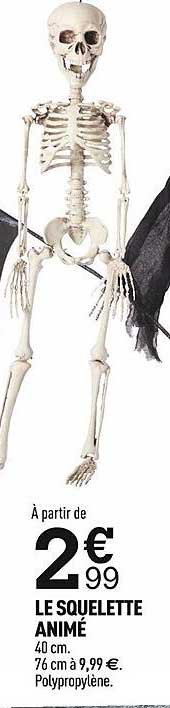 le squelette animé