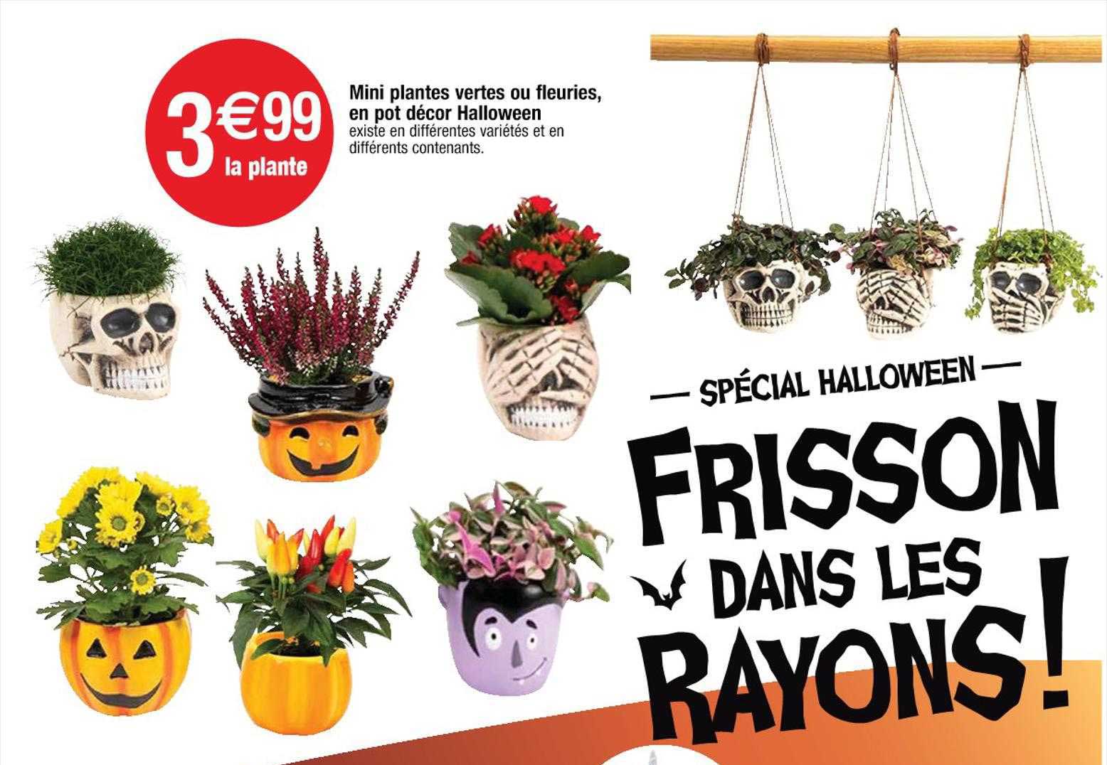 mini plantes vertes ou fleuries, en pot décor halloween