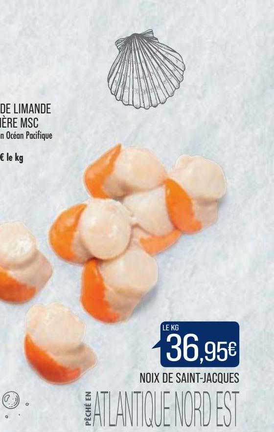 nox de saint-jacques