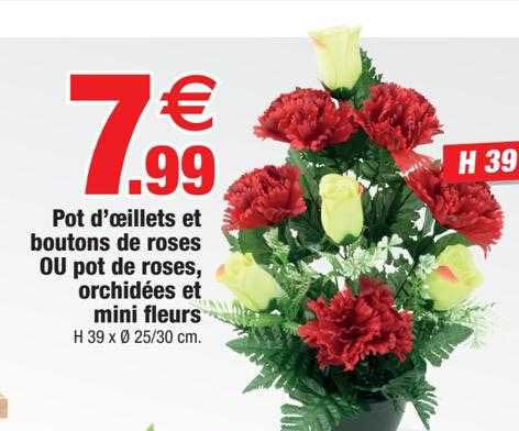 Pot D'œillets Et Boutons De Roses Ou Pot De Roses, Orchidées Et Mini Fleurs
