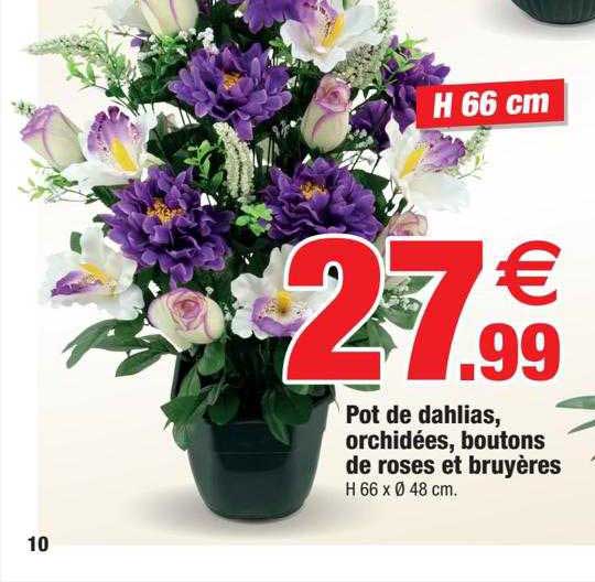 Pot De Dahlias, Orchidées, Boutons De Roses Et Bruyères